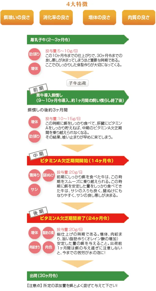 NB-90 和牛肥育編。離乳子牛から30ヶ月齢出荷までの4大特徴と給与フロー