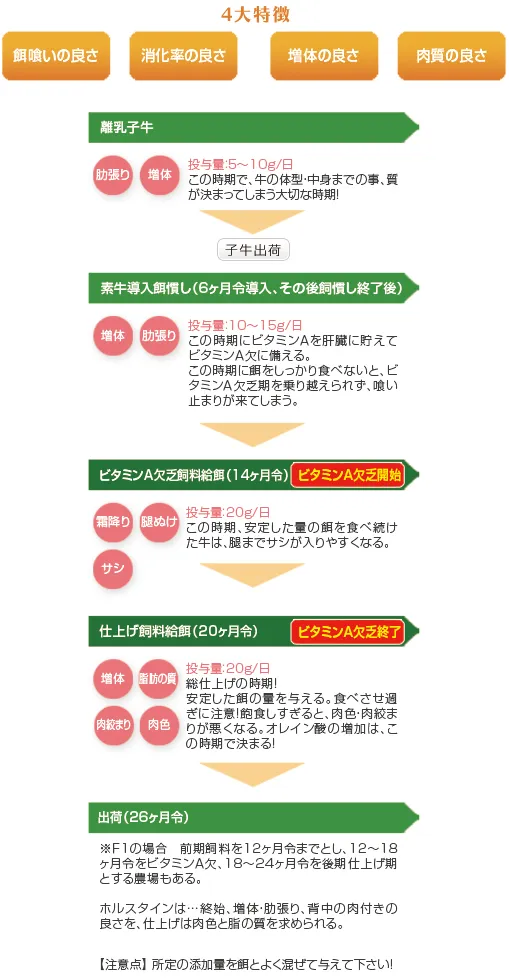 NB-90 F1牛肥育編。離乳子牛から26ヶ月齢出荷までの4大特徴と給与フロー