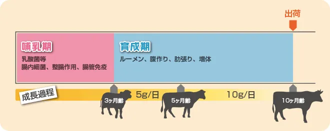 NB-90使用方法。哺乳期・育成期・出荷までのタイムライン図