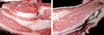 NB-90使用牛肉(サシの入ったロース)
